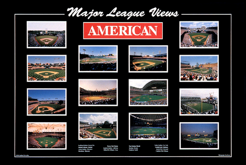 Major League Views: American League