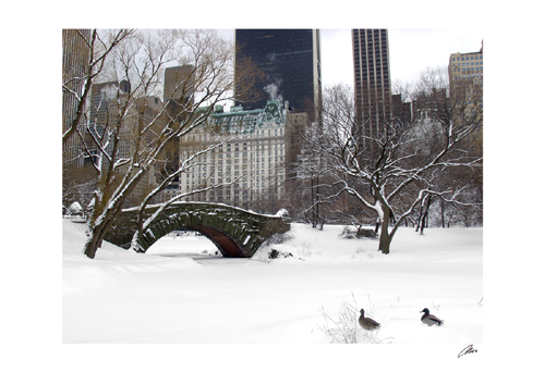Love Bridge in Central Park, Winter