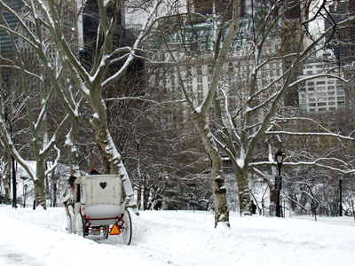 Carriage Snow, Central Park