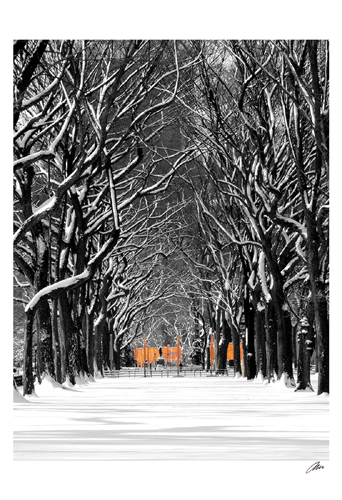 The Gates & Tree Path, Central Park