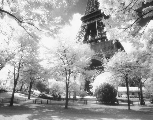 Afternoon in Paris, Parc du Champ de Mars