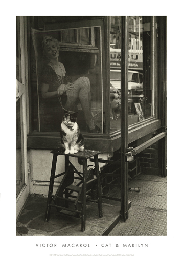 Cat & Marilyn, Thompson St, NYC, 1988