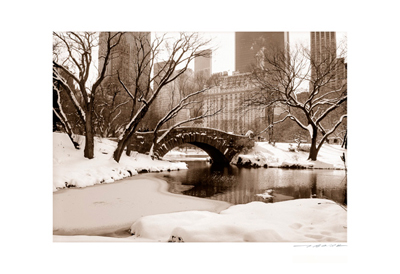 Central Park & Plaza, Winter (sepia)