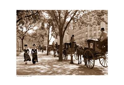 Taxi Stand at Madison Square, 1900 (sepia)