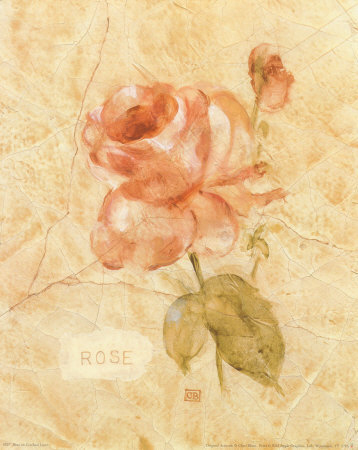 Rose on Cracked Linen