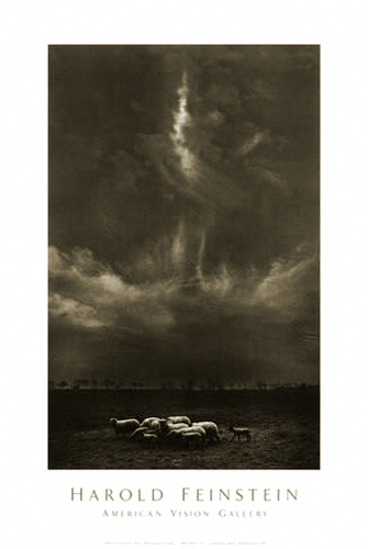 Sheep Under Clouds, 1958