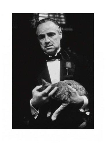 The Godfather (Brando & Cat)
