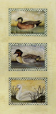 American Wigeon, Green Winged Teal and Snow Goose