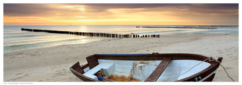 Coastal Art Collection