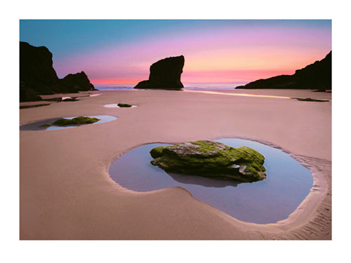 Adam Burton Art Collection