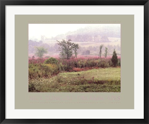 Framed Art Dreamscapes: Morning Meadow by Nick Zungoli | 23 x 29