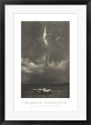 Framed Art Sheep Under Clouds, 1958 by Harold Feinstein | 26 x 17 1/2