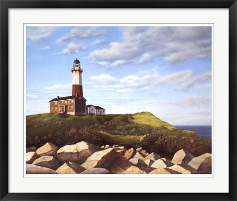 Framed Art Turtle Cove Hill by Daniel Pollera | 23 7/8 x 29 1/2