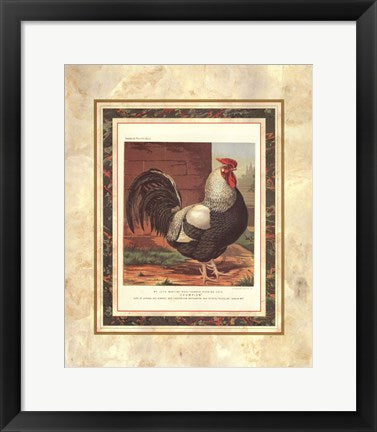 Framed Art Rose-Combed Dorking Cock (from Cassell's Poultry Book) by J.W. Ludlow