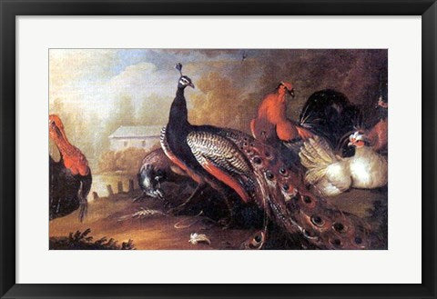 Framed Art Peacock and Pheasant by Marmaduke Craddock | 20 ¼ x 27 ¼