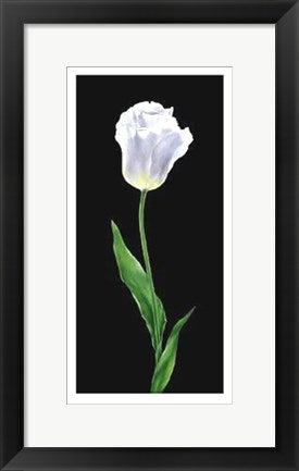 Framed Art Tulip by Andrea Fontana | 19 3/4 x 9