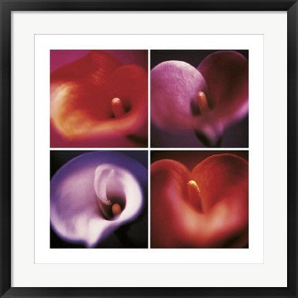 Framed Art Four Calla Lilies by Anna Halm-Schudel | 23 1/2 x 23 1/2
