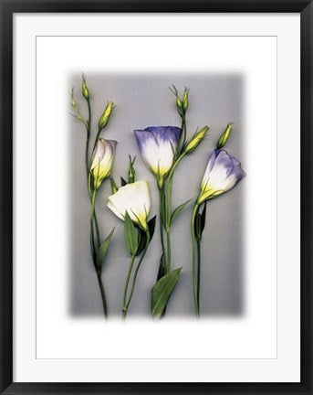 Framed Art Kissing the Sweethearts Goodbye by E. Dean | 23 1/2 x 31 1/2