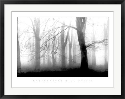 Framed Art Misty Morning by Bill Philip | 23 1/2 x 31 1/2
