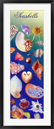 Framed Art Seashells by Kim Sanda | 36 x 11 ¾