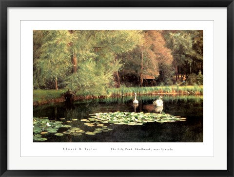 Framed Art The Lily Pond, Shudbrook, Near Lincoln by Edward R. Taylor