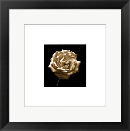 Framed Art Flower Series III by Walter Gritsik | 12 x 12