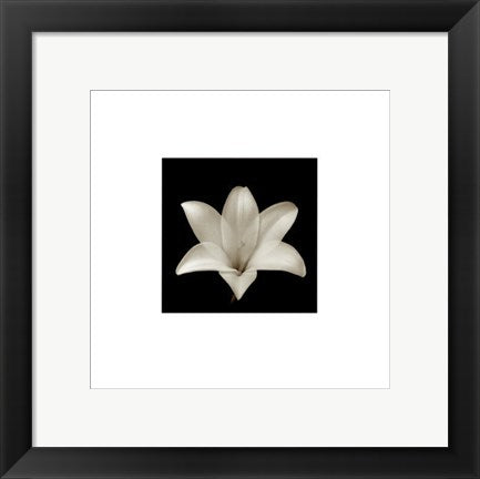 Framed Art Flower Series VII by Walter Gritsik | 12 x 12
