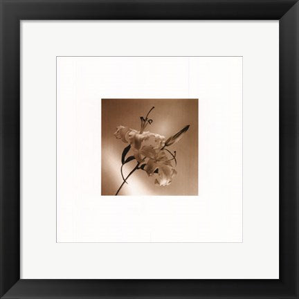 Framed Art Flower Series X by Walter Gritsik | 12 x 12