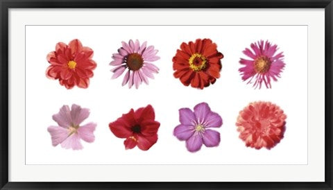 Framed Art Petales Rouges et Roses by Tasmin Phoenix | 19 3/4 x 39 1/2