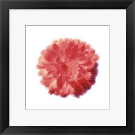 Framed Art Petales Rouges III by Tasmin Phoenix | 11 3/4 x 11 3/4