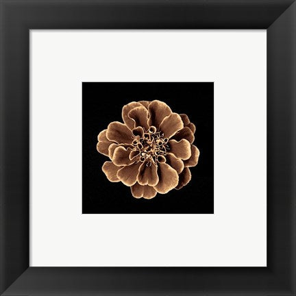 Framed Art Ruffles in Taupe 6 x 6