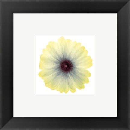 Framed Art Lemon Nectar 6 x 6
