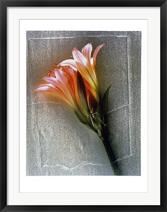 Framed Art What's Up by Jacquie Boyd | 31 1/2 x 23 1/2