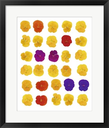 Framed Art Floral Celebration by Tasmin Phoenix | 19 3/4 x 15 3/4