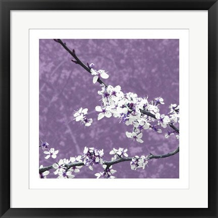 Framed Art Blossom in Lilac by Gail McKenzie | 19 3/4 x 19 3/4