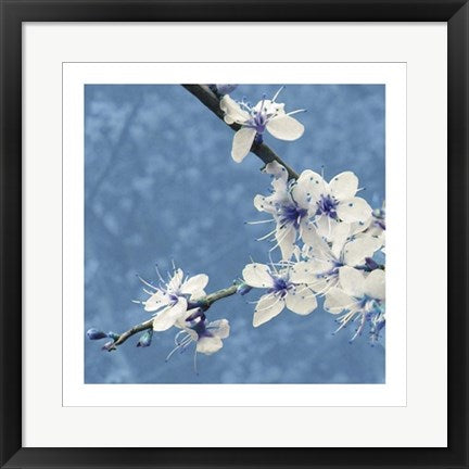 Framed Art Blossom in Blue by Gail McKenzie | 19 3/4 x 19 3/4
