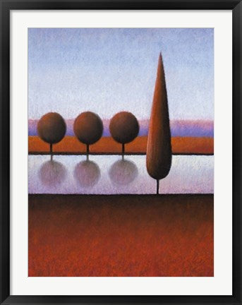 Framed Art Reflections IV by Fred Fieber | 31 1/2 x 23 1/2