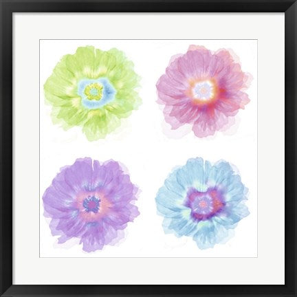 Framed Art Quatre Fleurs by Robin | 19 3/4 x 19 3/4