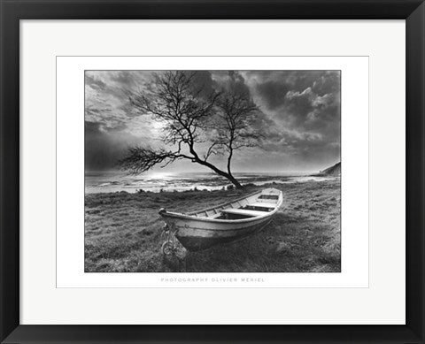 Framed Art Doris sur la Falaise, Saint-Jean-le-Thomas by Olivier Meriel