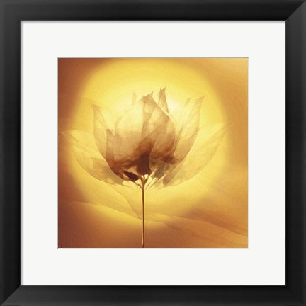 Framed Art Transparence V by Robin | 11 3/4 x 11 3/4