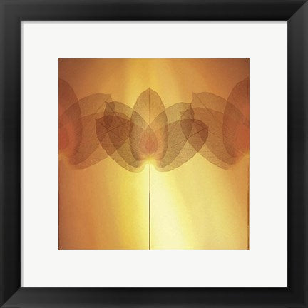 Framed Art Transparence VI by Robin | 11 3/4 x 11 3/4