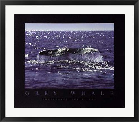 Framed Art Whale Tale by Bob Talbot | 24 x 28