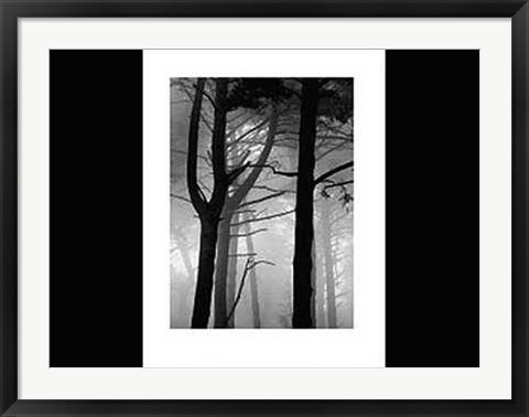 Framed Art The Forest by Nicholas Pavloff | 31 1/2 x 23 5/8