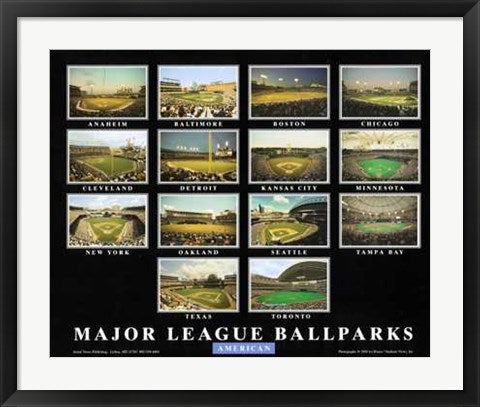 Framed Art Major League Ballparks - American League by Ira Rosen