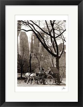 Framed Art Central Park / Carriage by Igor Maloratsky | 19 x 13