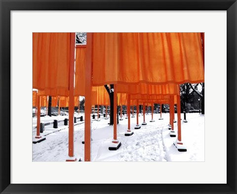 Framed Art Looking Through the Gates, Central Park by Igor Maloratsky