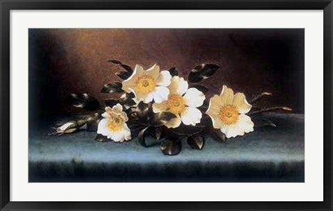 Framed Art Four Cherokee Roses by Martin Johnson Heade | 24 x 36