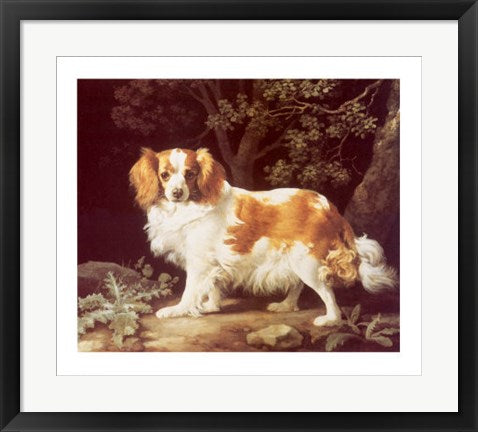 Framed Art King Charles Spaniel by George Stubbs | 20 x 23