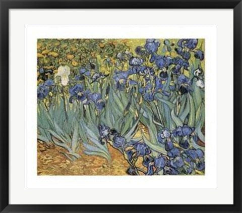 Framed Art Garden of Irises by Vincent van Gogh | 22 x 28