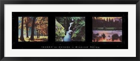 Framed Art Images From Nature II by William Neill | 12 x 36